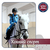 Конный спорт